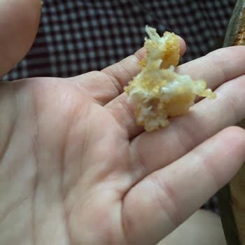 Superfresh Soğan Halkasında Yabancı Cisimle Karşılaştım