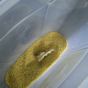 Duru Köftelik Bulgurda Yabancı Madde Ve Sağlık Riski