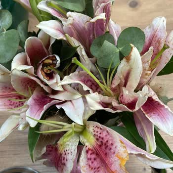 Çiçek Siparişim Hem Gecikti Hem De Solmuş Olarak Teslim Edildi