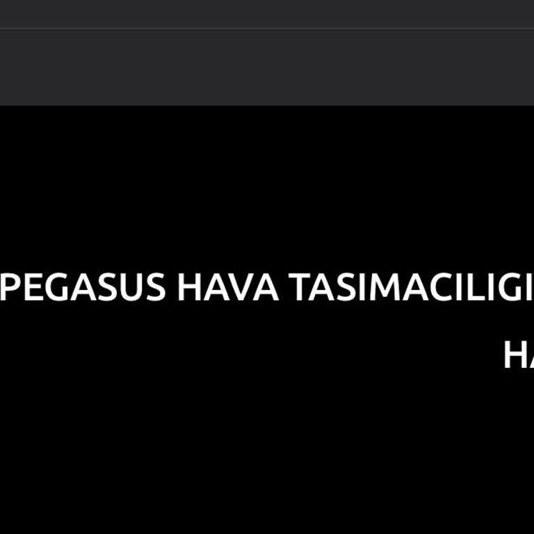 Hamile Yolcuya Haksız Ek Bagaj Ücreti Ve Yetersiz Personel Desteği