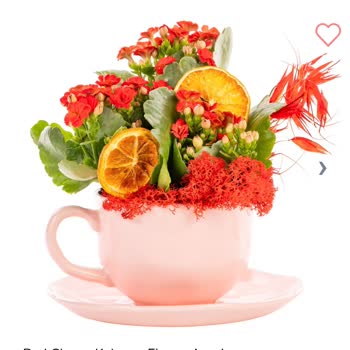 Teslim Edilmeyen Sipariş, Yetersiz Müşteri Hizmeti: Taze Çiçek’te Tekrarlayan Mağduriyet