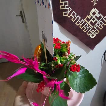 Teslim Edilmeyen Sipariş, Yetersiz Müşteri Hizmeti: Taze Çiçek’te Tekrarlayan Mağduriyet