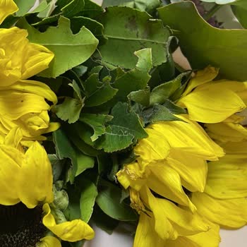 Çiçek Market Öğretmenler Günü'nde Solmuş Çiçek ve İlgisiz Müşteri Hizmeti Mağduriyeti