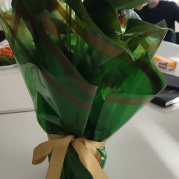 Çiçek&Hediye Yanlış Çiçek Gönderildi Param İade Edilmiyor