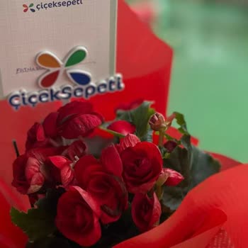 Yanlış Ürün, Sessiz Müşteri Hizmetleri: Mağduriyetimin Giderilmesini İstiyorum