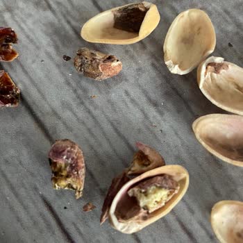 Aldığım Kuruyemişin Çürük Ve Kötü Kokulu Çıkması