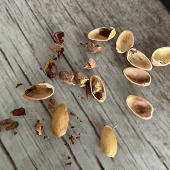 Aldığım Kuruyemişin Çürük Ve Kötü Kokulu Çıkması