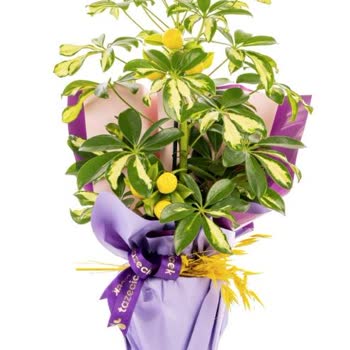 Sipariş Edilen Ürün Görselinden Farklı Ve Eksik Gönderildi