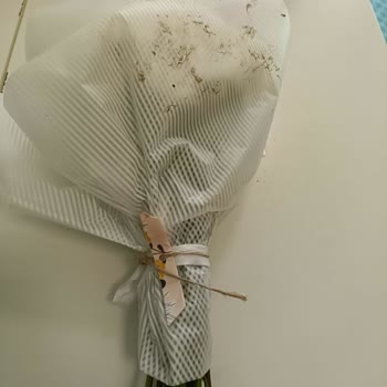 Gönderilen Çiçek Ve Not Beklentileri Karşılamadı