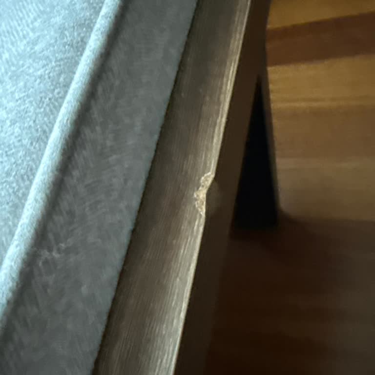 Hasarlı Masa Teslimatı Ve İletişimsizlik Sorunu