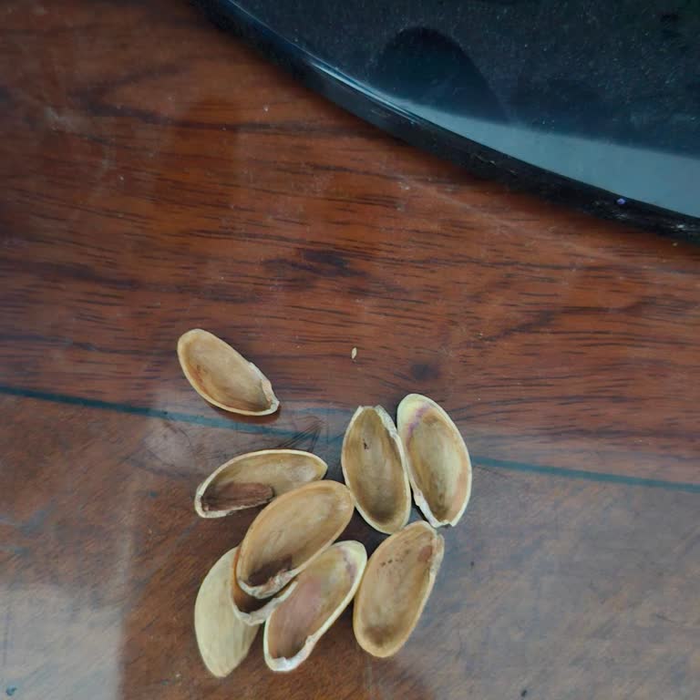 LCW'den Sipariş Ettiğim Montun İçinden Yabancı Maddeler Çıktı Ve Çözüm Sunulmadı