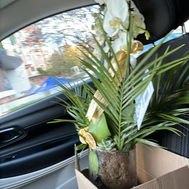 Teslimat Gecikmesi Ve Kalitesiz Ürün Nedeniyle Mağduriyet