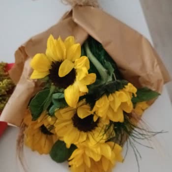 Solmuş Çiçek Ve İade Sorunu: Müşteri Hizmetlerine Ulaşılamıyor