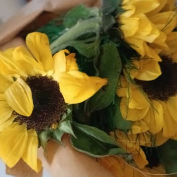 Solmuş Çiçek Ve İade Sorunu: Müşteri Hizmetlerine Ulaşılamıyor