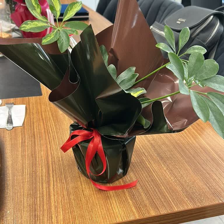 Öğretmenler Günü Siparişimde Yanlış Ve Kalitesiz Ürün Gönderildi Müşteri Hizmetleri İlgisiz