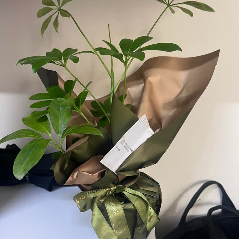 Siparişimdeki Ürün Görsele Uymadı Mağduriyetim Giderilmiyor