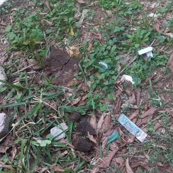 Yeşilyurt Mahallesi'nde Süregelen Çevre Kirliliği Ve Yetersiz Temizlik