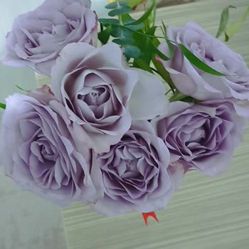 Yanlış Ve Eksik Çiçek Siparişi Mağduriyeti