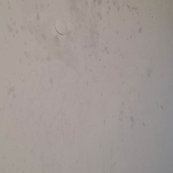 Aldığım Kefir Patladı, Evim Kirlendi Ve Güvenlik Endişesi Yaşıyorum