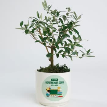 Öğretmenler Günü'nde Beklentileri Karşılamayan Çiçek Aranjmanı Hayal Kırıklığı