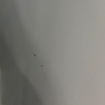 Arçelik Buzdolabı Sorunu 5 Servis Sonrası Hâlâ Çözülmedi