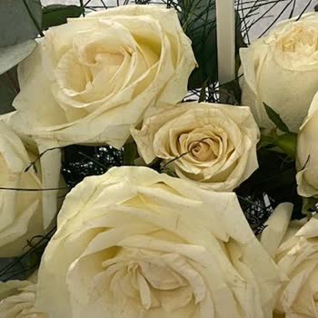 Çiçek Sepeti'nden Gelen Ürün Görselle Uyuşmuyor, İade Ve Müşteri Hizmetlerinde Sorun Yaşadım