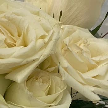 Çiçek Sepeti'nden Gelen Ürün Görselle Uyuşmuyor, İade Ve Müşteri Hizmetlerinde Sorun Yaşadım