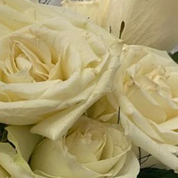 Çiçek Sepeti'nden Gelen Ürün Görselle Uyuşmuyor, İade Ve Müşteri Hizmetlerinde Sorun Yaşadım