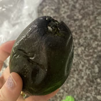 Küflü Avokado Teslimatı Ve İlgisiz Müşteri Hizmetleri Deneyimi