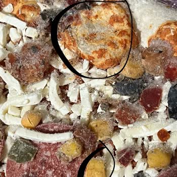 Pekfood Son Kullanma Tarihi Geçmemiş Pizzada Küf Ve Bozulma Şoku