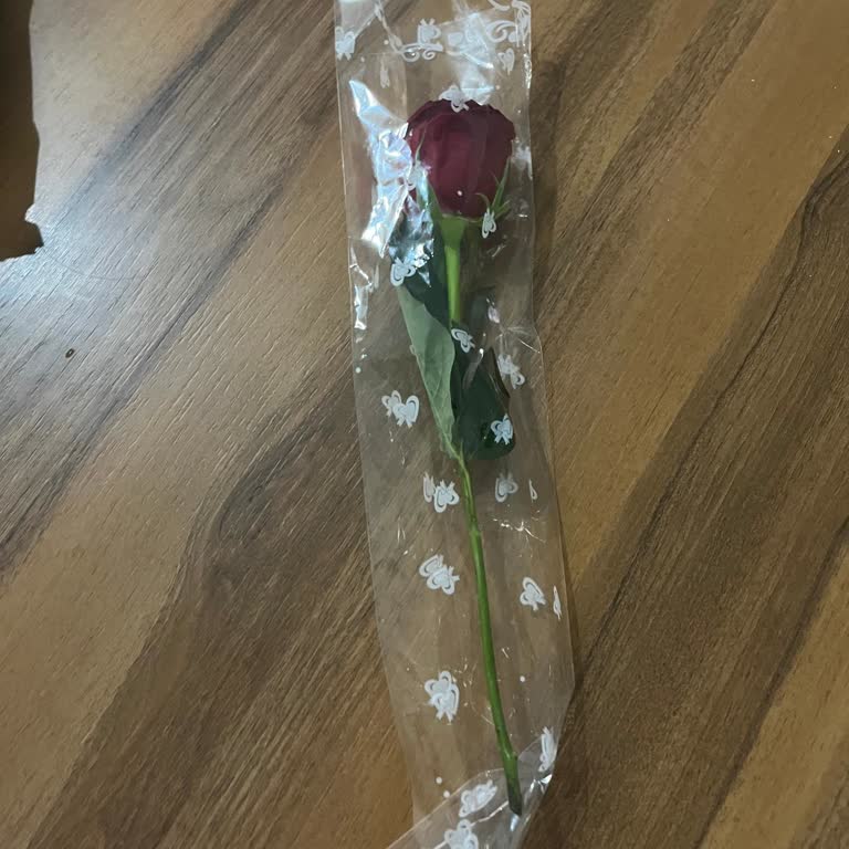 Kutuda Gelmesi Gereken Çiçek Poşetle Teslim Edildi, Hayal Kırıklığı Yaşadım