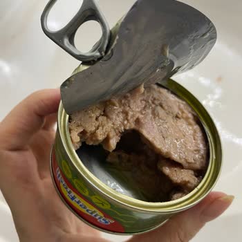 Superfresh Ekonomik Ton Balığı: Az İçerik, Kötü Tat, Hayal Kırıklığı