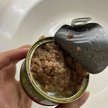 Superfresh Ekonomik Ton Balığı: Az İçerik, Kötü Tat, Hayal Kırıklığı