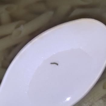 Makarnada Kurt Şoku Ve İlgisiz Müşteri Hizmeti