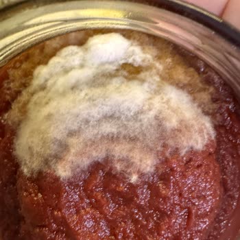 Tat Markasından Küflü Salça Sonrası İletişimsizlik Ve Güven Kaybı Yaşadım