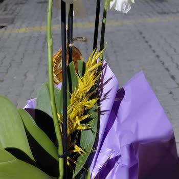 Yanlış, Hasarlı Ve Eksik Orkide Siparişi: Müşteri Hizmetlerine Ulaşılamıyor