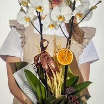 Yanlış, Hasarlı Ve Eksik Orkide Siparişi: Müşteri Hizmetlerine Ulaşılamıyor