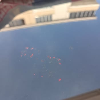 Citroen C3 Tavan Boyası Ve Yapıştırma Sorunu Çözülmüyor