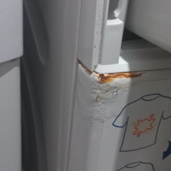 Kısa Sürede Paslanan Çamaşır Makinesi İçin Yüksek Onarım Ücreti Mağduriyeti