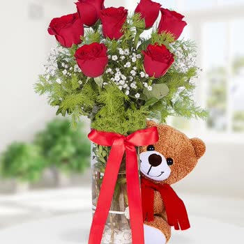 Siparişimdeki Oyuncak Ayı Yerine Fil Gönderildi, Mağdur Oldum