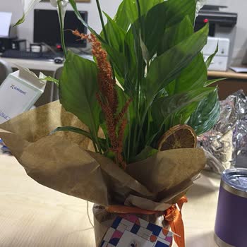 Yanlış Ürün Teslimatı Ve Müşteri Hizmetlerine Ulaşılamıyor