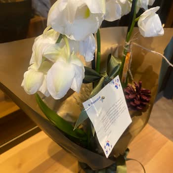 Gösterilen Çiçekle Gönderilen Çiçek Arasında Büyük Fark Var Mağdur Oldum