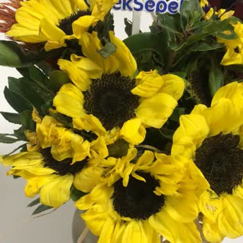 Çiçek Sepeti Öğretmenler Günü Siparişim Eksik Ve Görselden Farklı Teslim Edildi