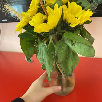 Gönderilen Çiçek Hayal Kırıklığı Yarattı