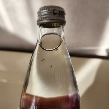 Kapalı Mila Cam Şişede Yabancı Madde İnsan Sağlığını Tehdit Ediyor