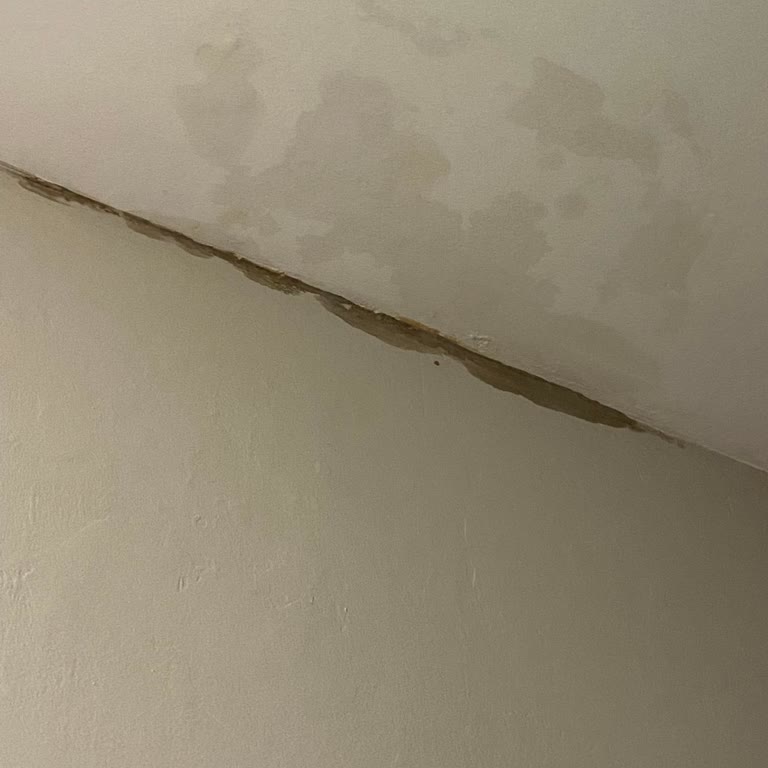 Çatı Kaynaklı Su Sızıntısı Nedeniyle Yaşam Konforum Ve Mülk Değerim Zarar Görüyor