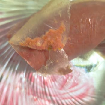 Satın Aldığım Sucukta Böcek Çıktı, Sağlığımız Tehlikede!