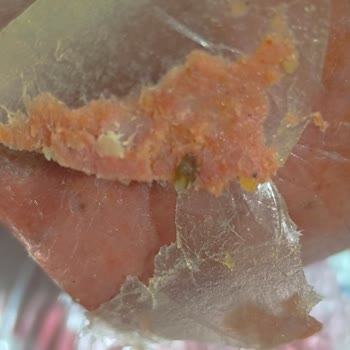 Satın Aldığım Sucukta Böcek Çıktı, Sağlığımız Tehlikede!