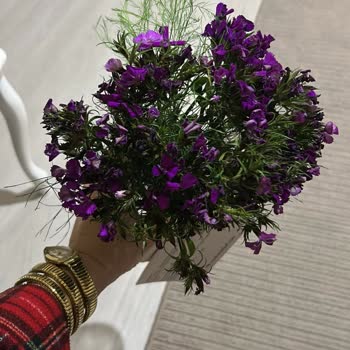 Öğretmenler Günü Siparişim Yanlış Ve Geç Teslim Edildi Mağdur Oldum