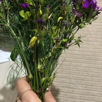 Öğretmenler Günü Siparişim Yanlış Ve Geç Teslim Edildi Mağdur Oldum